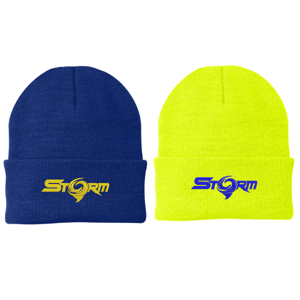 Storm Embroidered Beanie
